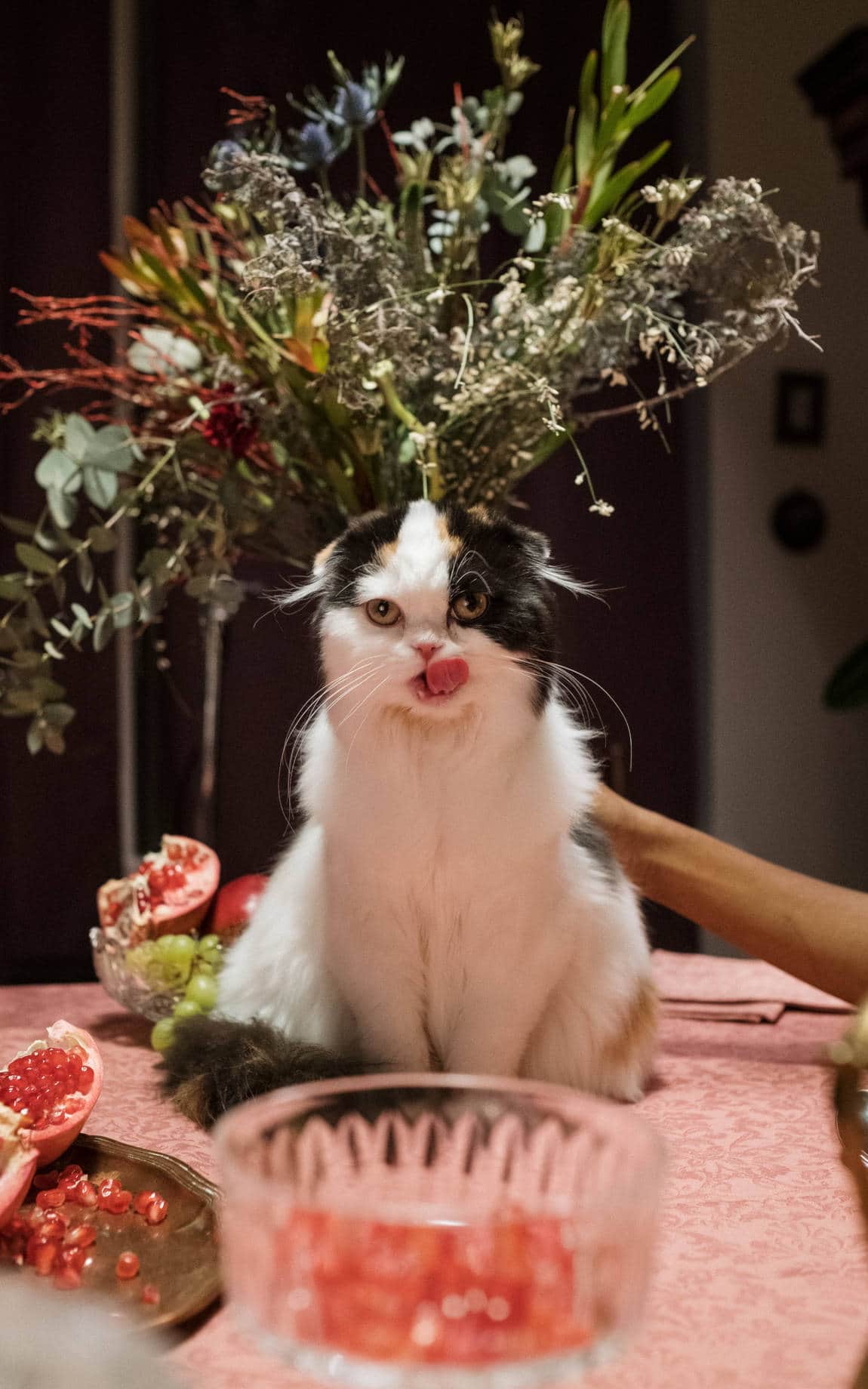 Blumenstrauß mit einer Katze auf dem Tisch