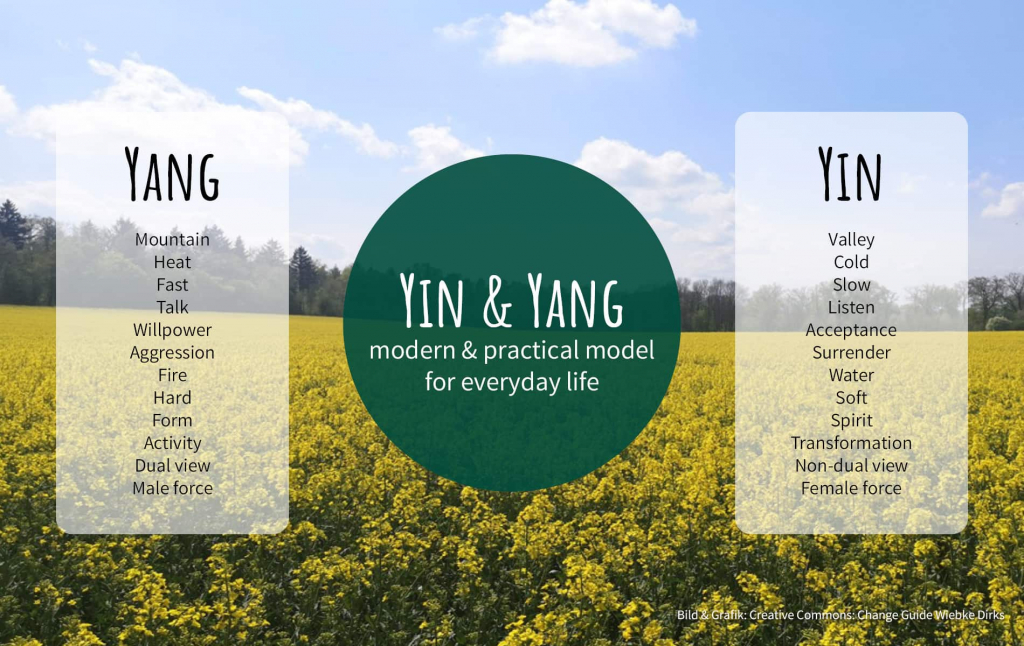Grafik mit Erklärung zu Yin und Yang