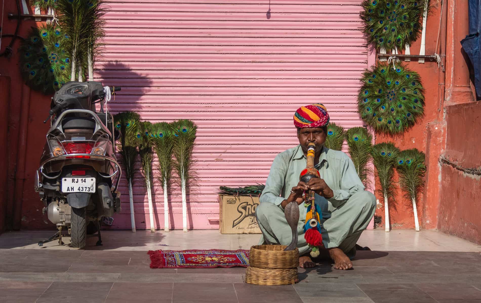 Indischer Schlangenbeschwörer spielt Pungi-Flöte
