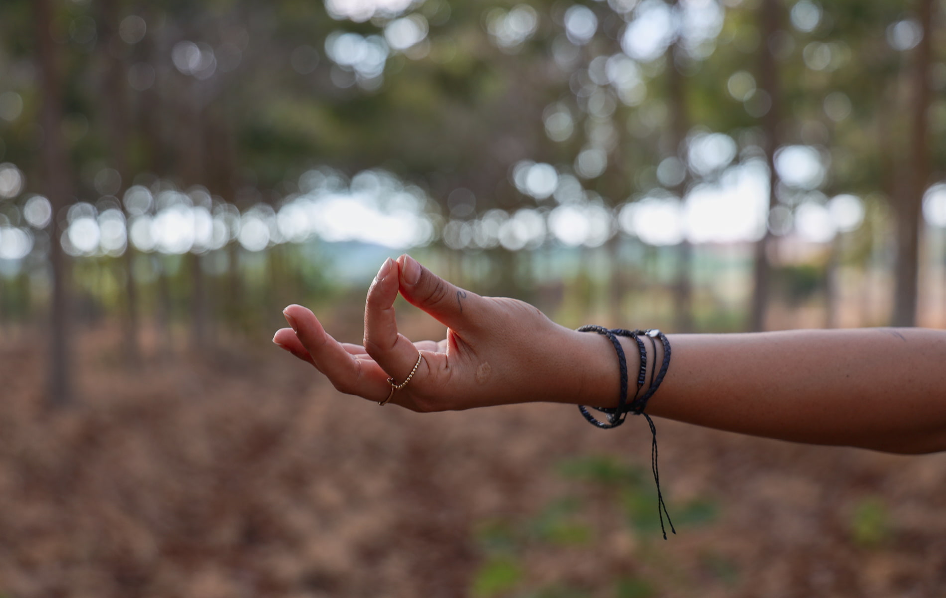 Meditationsgeste mit Händen im Wald