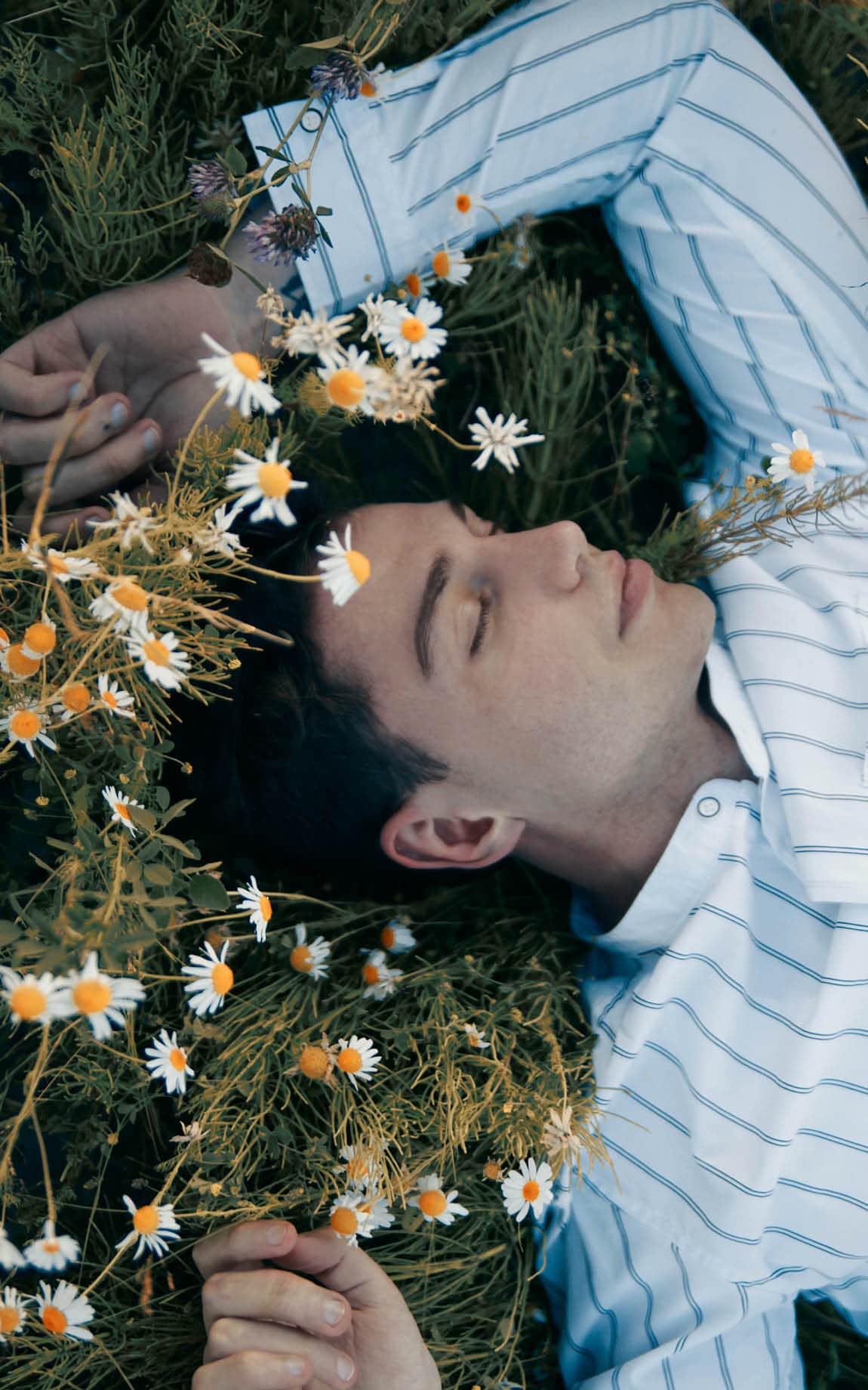 Mann liegt mit geschlossenen Augen in Blumenwiese