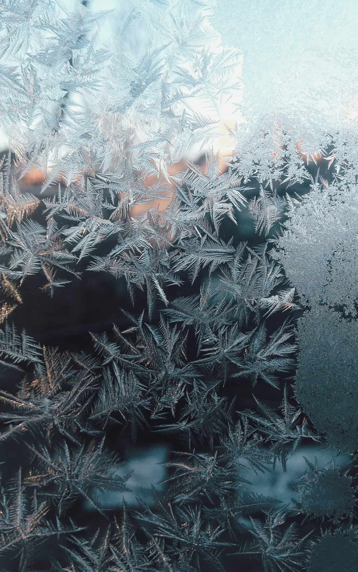 Frost auf Glas | Biohacking BD
