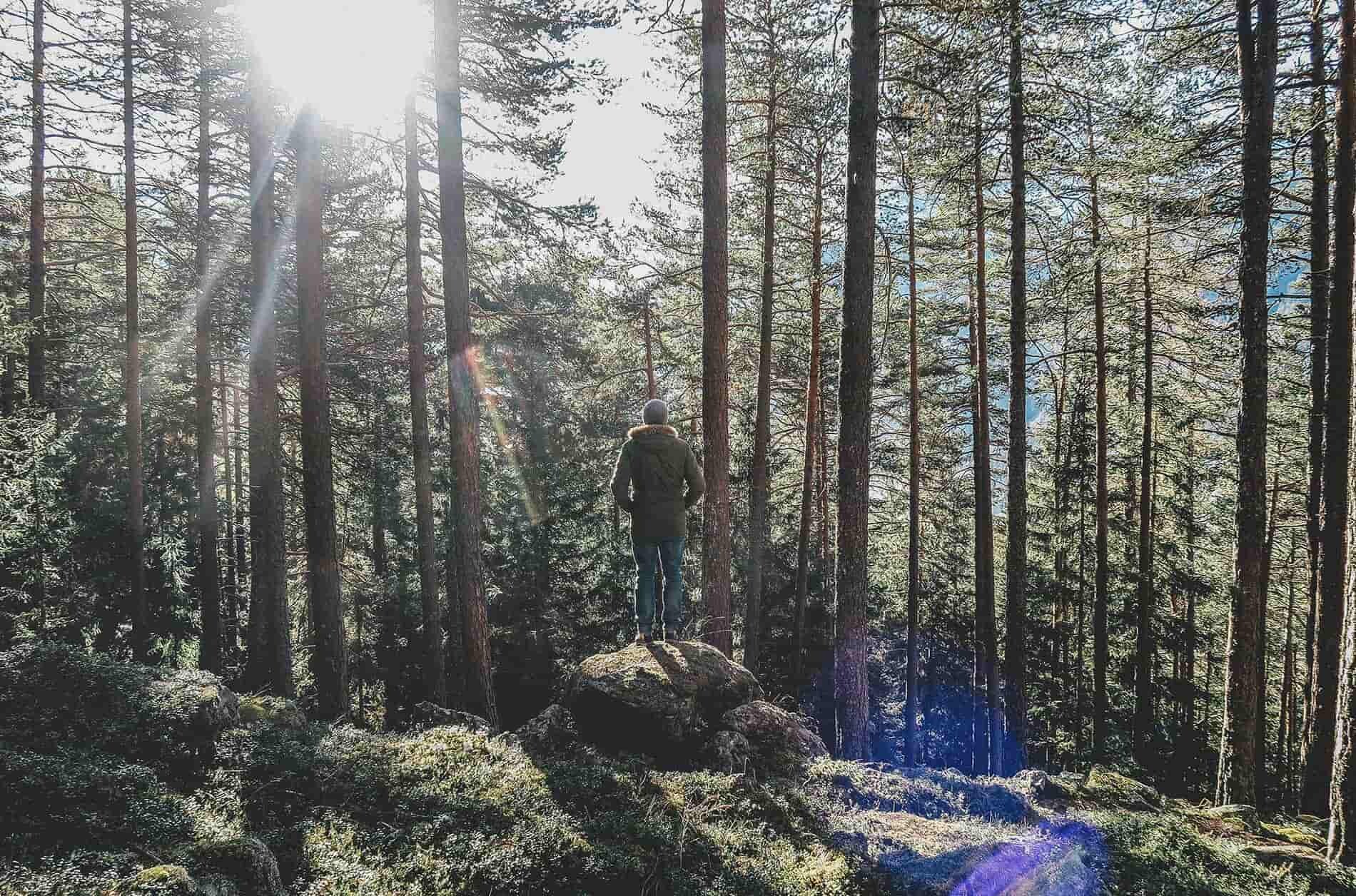 Erfahrener Biohacker steht im Wald