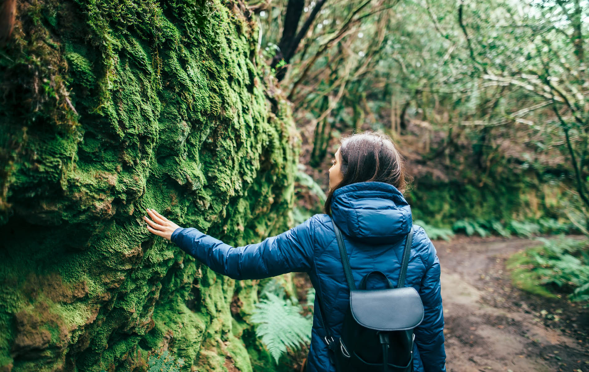 Frau läuft durch den Wald und greift zu Mooswand